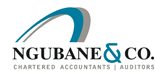 Ngubane & Co. logo