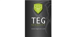 TEG Security logo