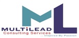 Multilead Consulting Services