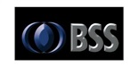 B-Safe Systems logo