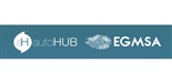 AutoHub EGMSA