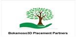 Bokamoso3D Placement Partner logo