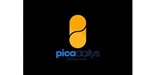 Picadailys Services Nig ltd logo