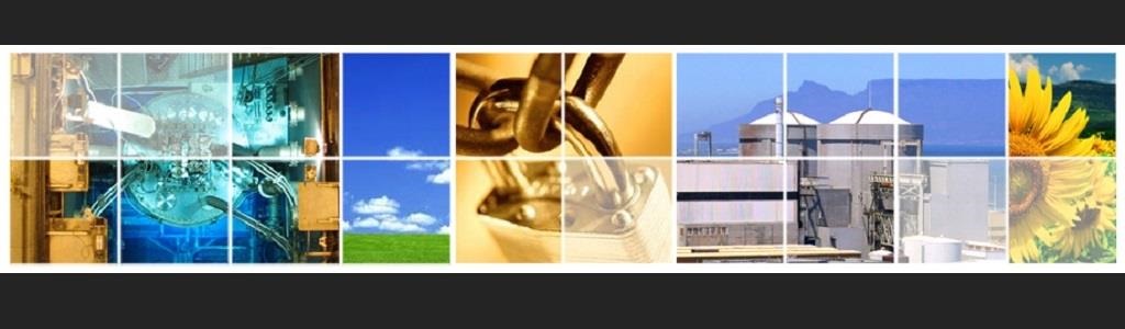 National Nuclear Regulator