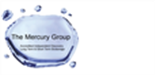 Blue Mercury Financial Services logo