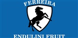 ENDULINI FRUIT logo
