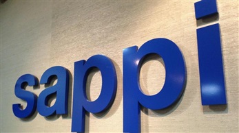 SAPPI Jobs and Vacancies - Careers24