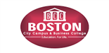 Boston visual data 5