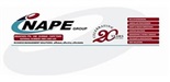 Nape Staffing Solutions cc logo