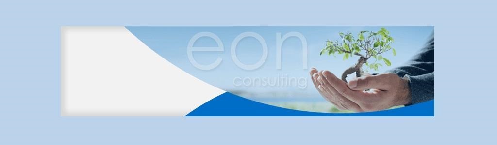 EON Consulting