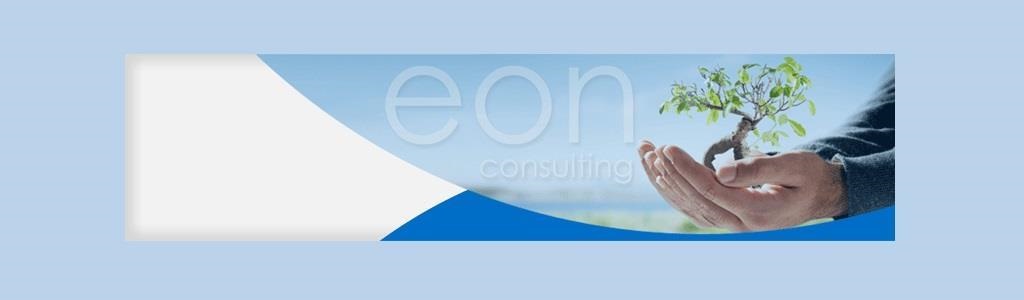 eon-consulting-jobs-and-vacancies-careers24