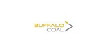 Buffalo coal Group Corporation logo