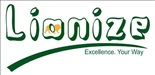 Lionize Consulting logo