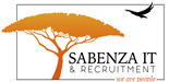 DCV Sabenza Information Technology PTY Ltd logo