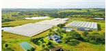 Top T Tomatoes logo