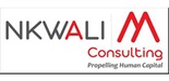 Nkwali M Consulting logo