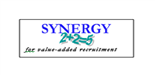 Synergy Human Resources Services cc logo