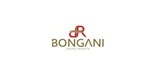 D R Bongani Investments logo