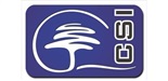 CSI Group logo