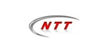NTT Motor Group