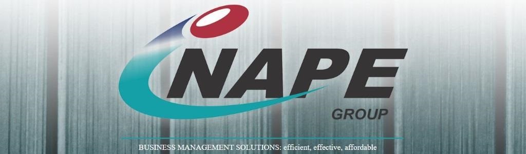 Nape Staffing Solutions cc
