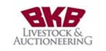 BKB Ltd
