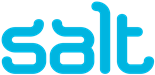 SALT logo