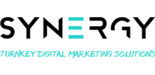Synergy Digital Marketing logo