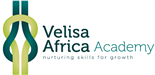 VELISA AFRICA (PTY) LTD logo