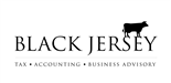 Black Jersey Consulting BV logo