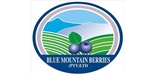 Blue Mountain Berries (Pty) Ltd logo