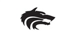 Wolfpack Information Risk (Pty) Ltd logo